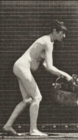 Plate 213 Lifting and emptying a basket — figure reference